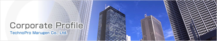 Corporate Profile